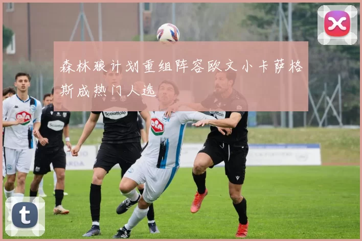 森林狼计划重组阵容欧文小卡萨格斯成热门人选